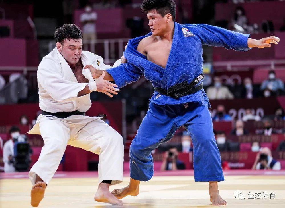 柔道加点2026，如何匹配热门需求打造终极战斗组合？