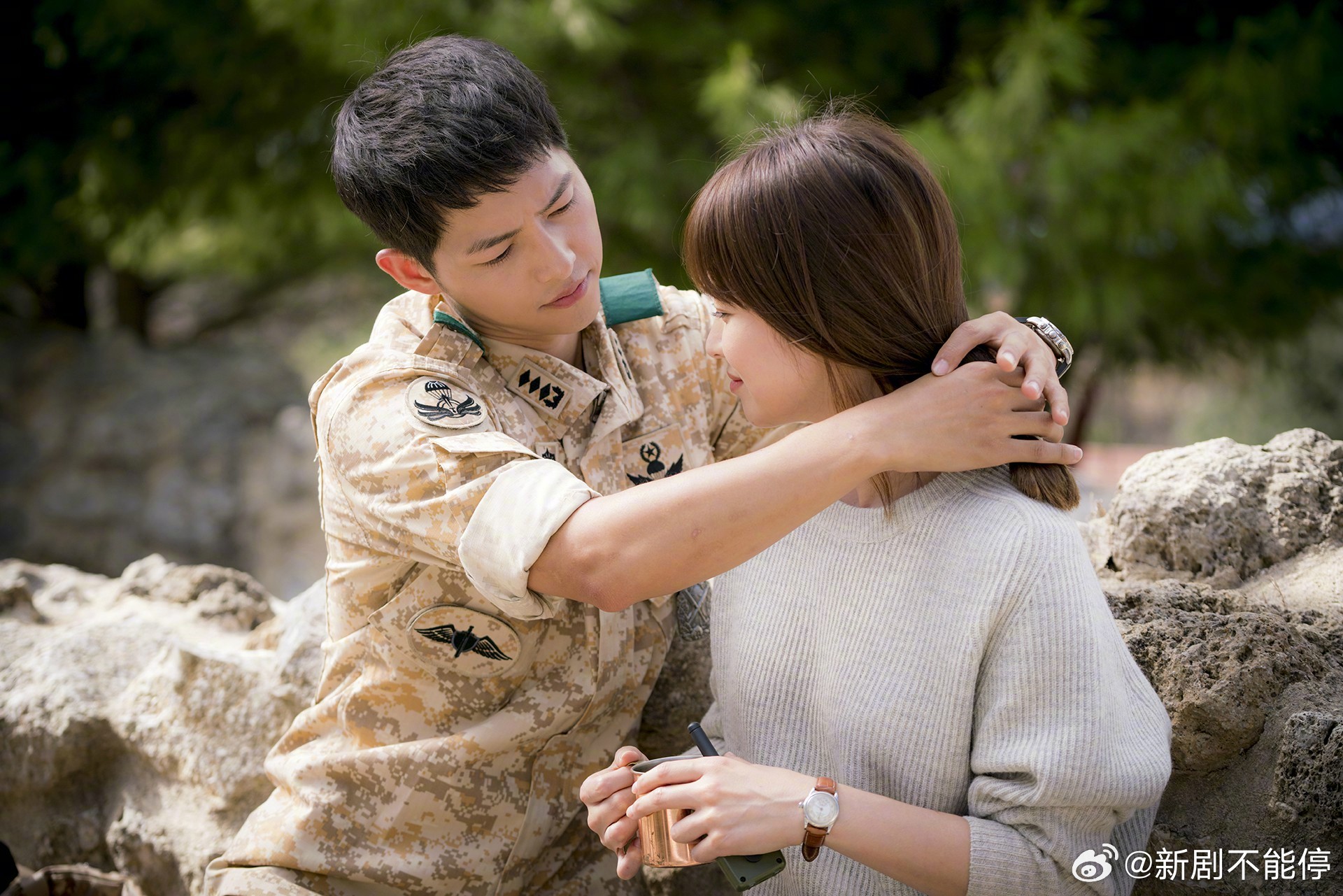 太阳的后裔新季更新何时官宣？2026年独家预测与实战追踪指南