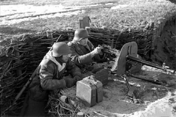 50分防弹类型实战指南，如何精准选择提升生存率并应对突发威胁？