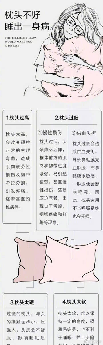 枕仙类型全解析，2026权威指南，教你解决常见难题！