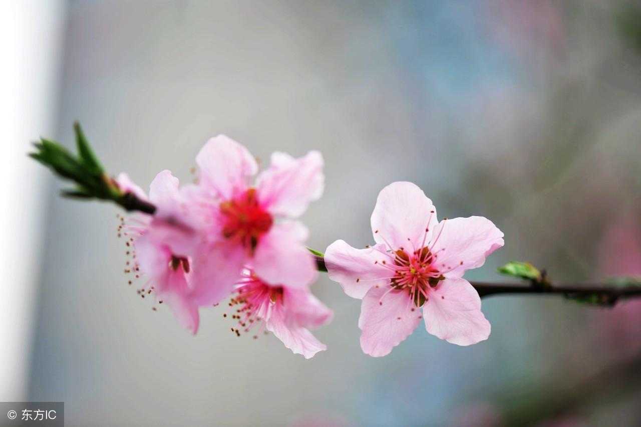 粘粘世界中文版通关攻略，破解千年难题的三大核心法则