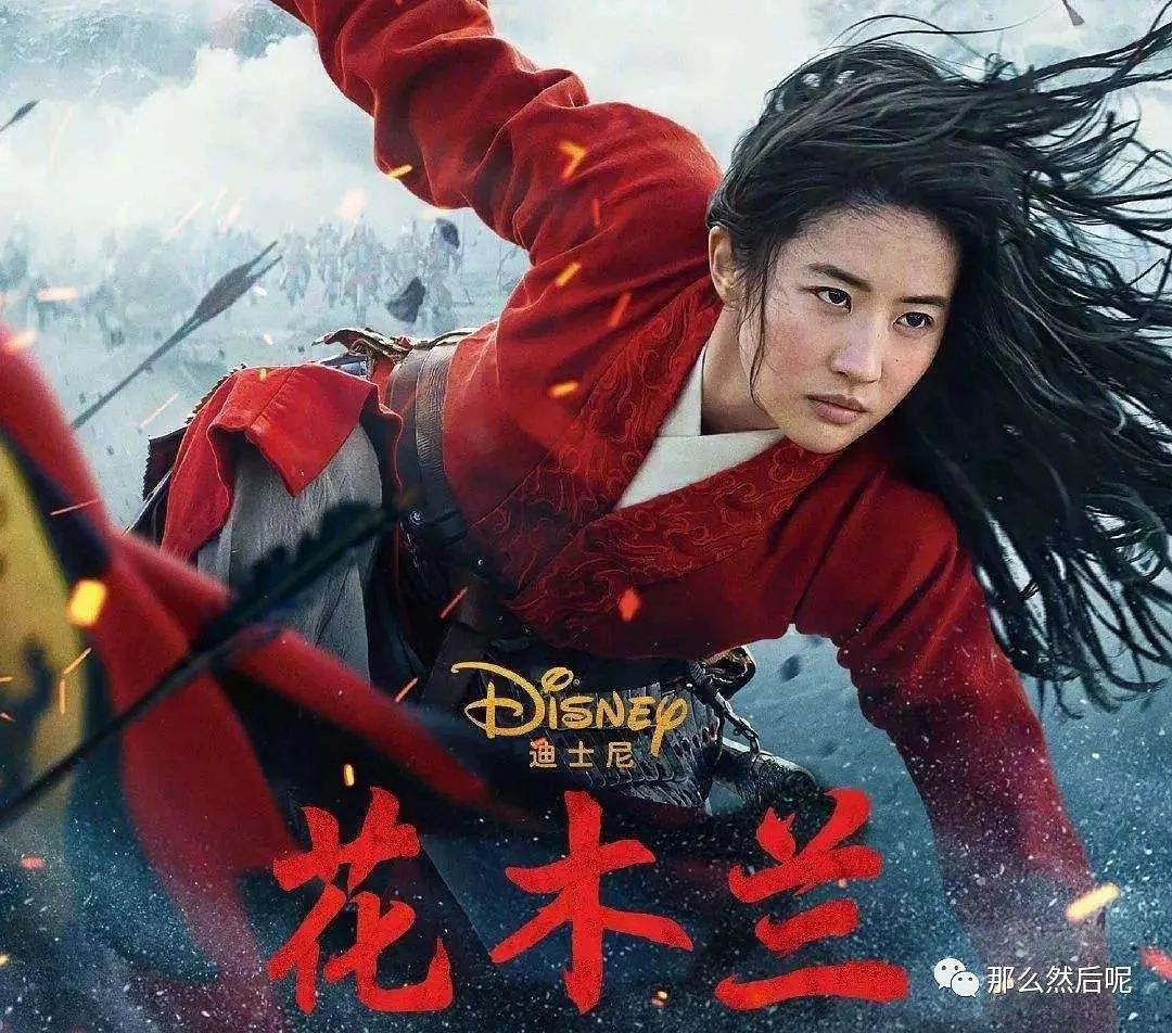 2026新花木兰类型深度解析，如何高效匹配热门需求解锁顶级战斗技巧？