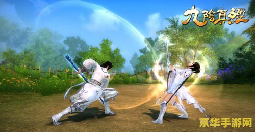 九阴真经五郎八卦棍终极秘技，2026实战升级与隐藏属性解锁指南？