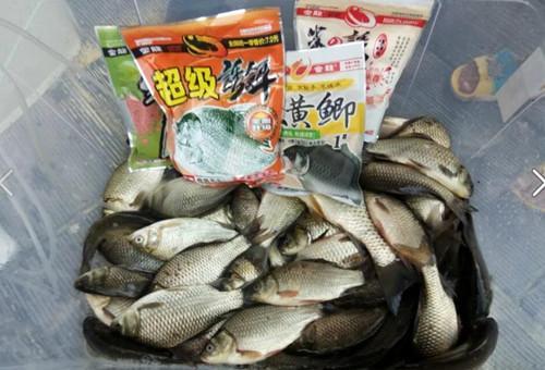 2026原神鱼饵合成冷技巧，3分钟集齐全图鉴，钓鱼佬必看省肝指南！