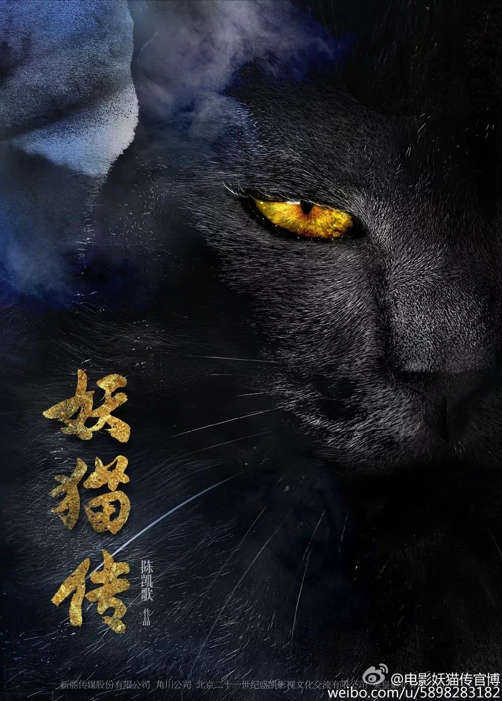 陈飞宇首曝妖猫传猫类型丢失内幕，玩家如何从幕后风波中汲取智慧？