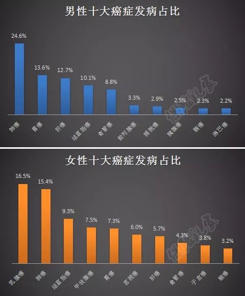 2026年权威指南，伊洛纳核平开局后患类型全解析与高效避坑策略