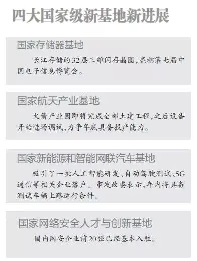钢筋铁骨还是伪命题？阳金津类型实战误区与极致防御养成路线全解析