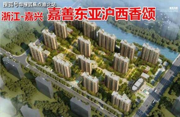 初露之源核心概念解析